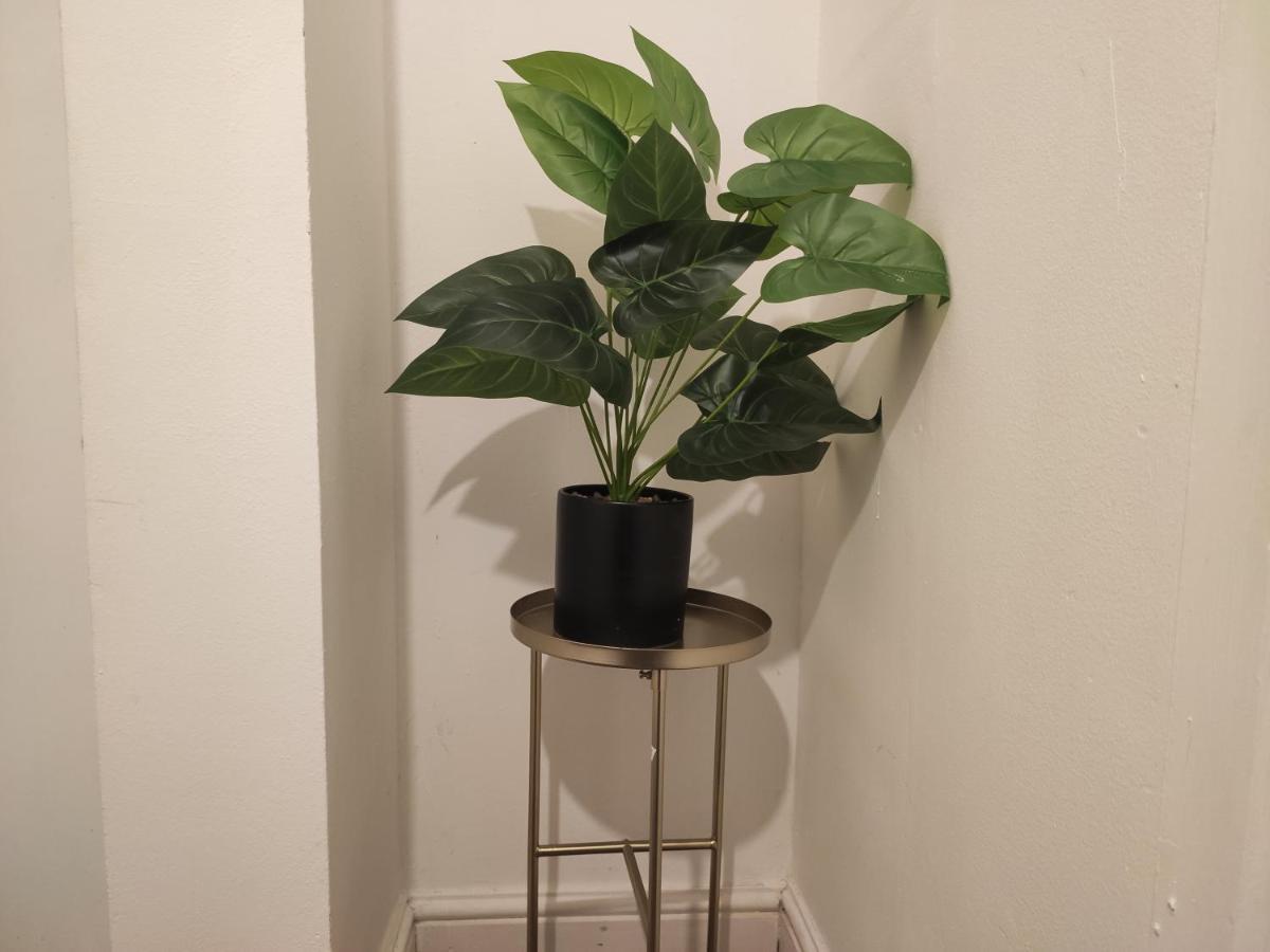 Whitchurch 1 Bedroom Apartment カーディフ エクステリア 写真